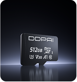 DDPAI Global