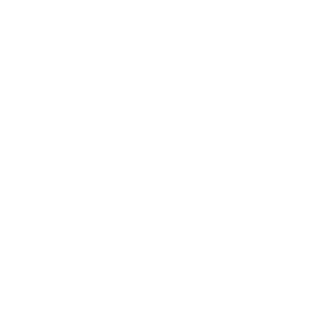 DDPAI Global