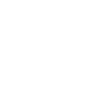 DDPAI Global