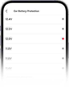 DDPAI Global