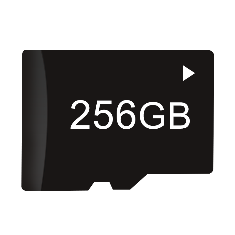 256GB Class 10 Micro SD Card