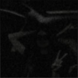 Dark, grainy image of car interior without infrared night vision