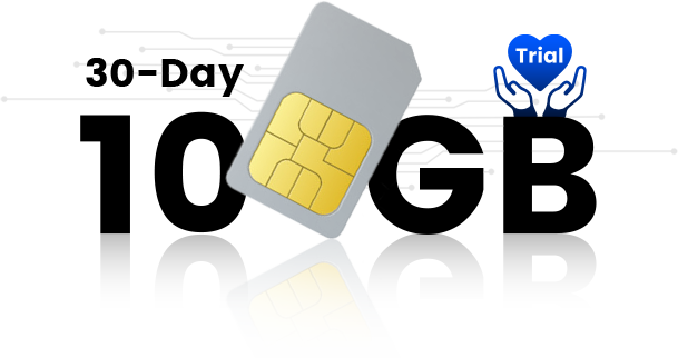 DDPAI 30 day 10GB SIM card trial