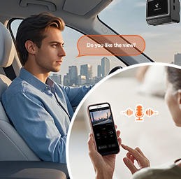 Remote two-awy voice call